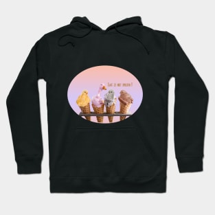 ice creams Hoodie